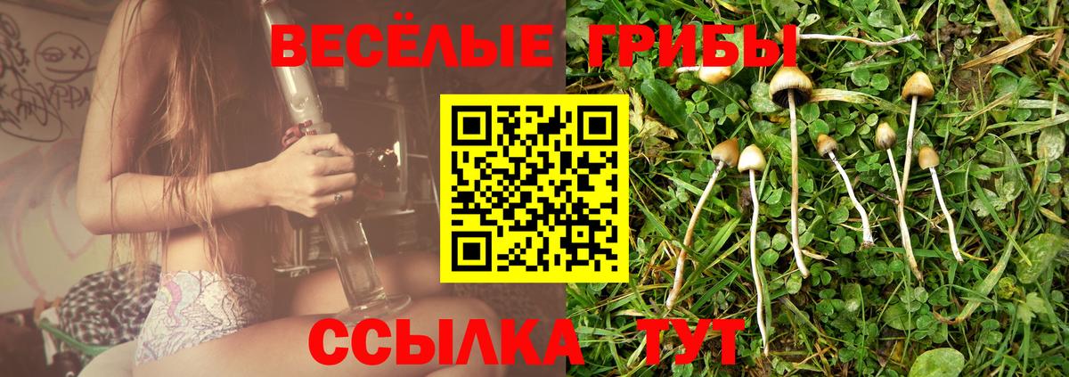 Псилоцибиновые грибы Cubensis Энгельс
