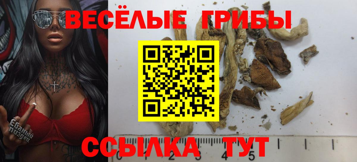 Галлюциногенные грибы ЛСД  даркнет сайт  Энгельс  Псилоцибиновые грибы мухоморы  Вход с VPN 